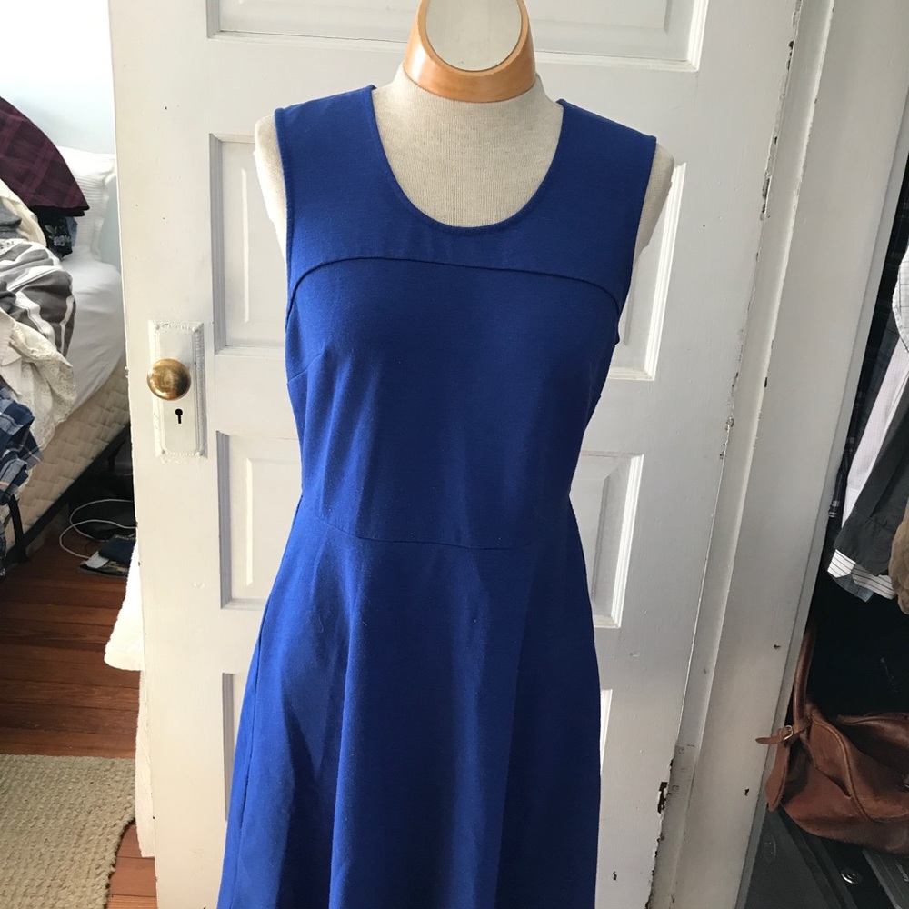 Cobalt blue skater dress